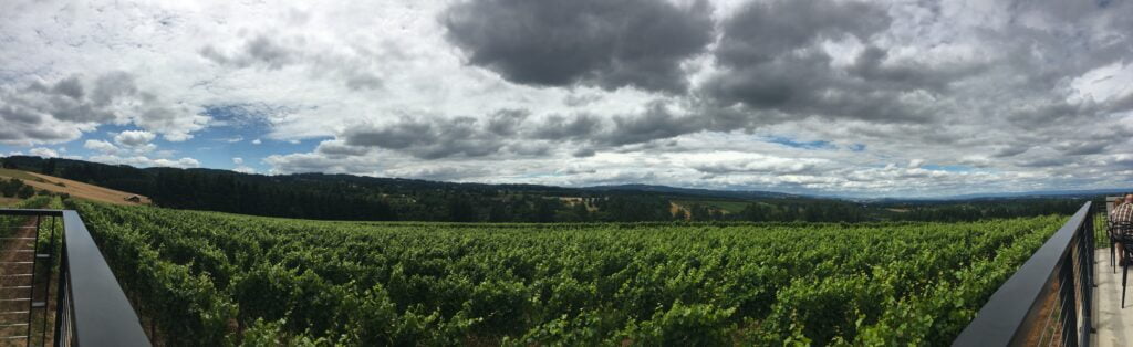 ponzi-wine-oregon ponzi-wine-oregon