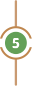5 5