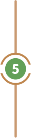 5 5