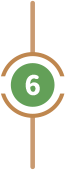 6 6