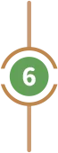 6 6