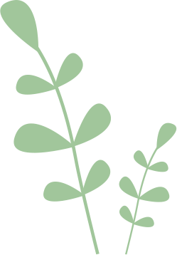section-one-plant-bg-bottom section-one-plant-bg-bottom