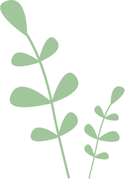 section-one-plant-bg-bottom