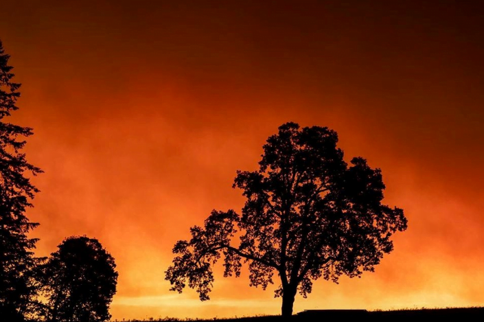 wild-fire-oregon