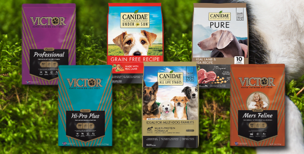 pet-food pet-food