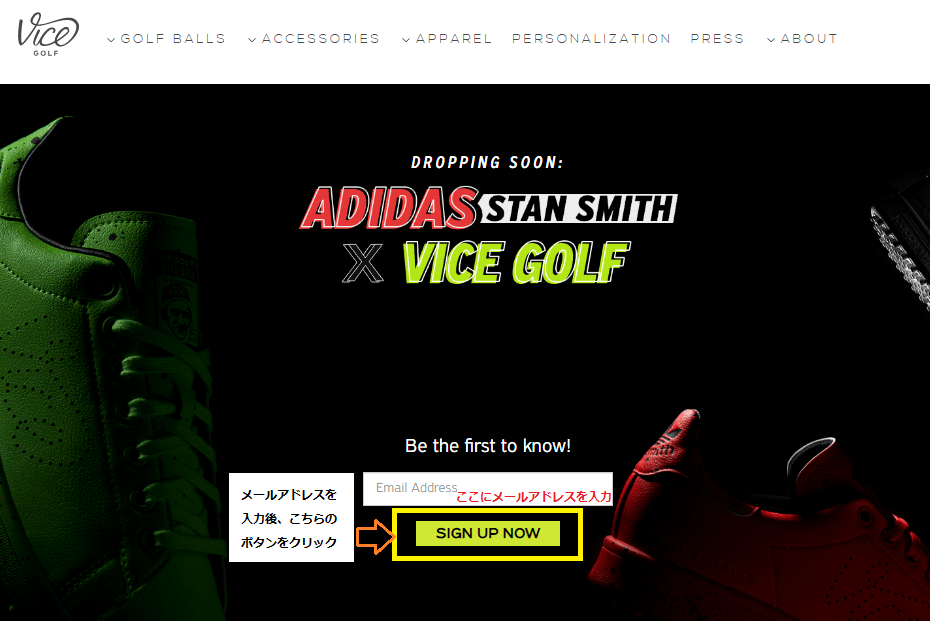 vice-stansmith vice-stansmith
