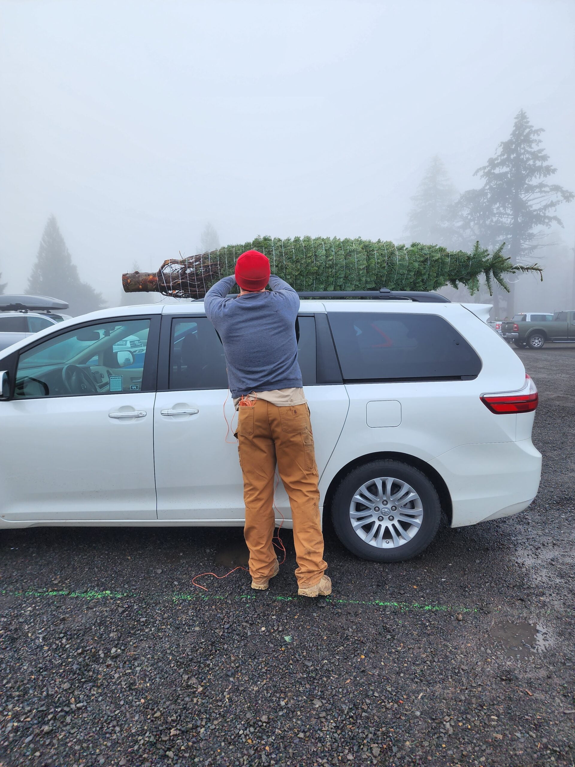 christmas-tree christmas-tree