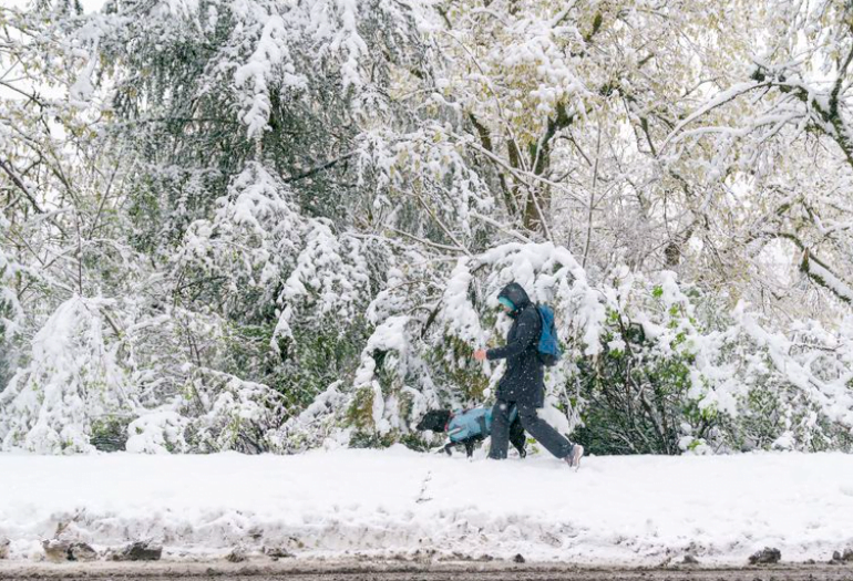 portland-snow